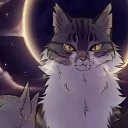 ���� ����, �����, 21 ��� - ��������� 17 �������� 2023 � ������ ���� ����������