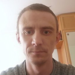 �������, ���������, 41 ���