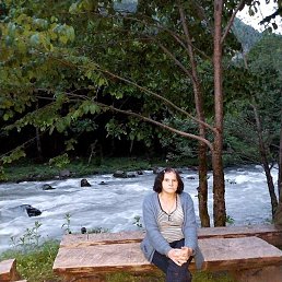 �����, ����, 66 ���