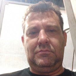 ������, ������, 49 ���