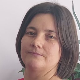 �������, ����������, 37 ���