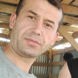 Aziz, �����������, 41 ���