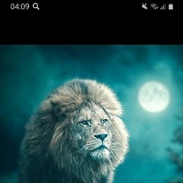 Joker, �������, 34 ����