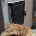 ���� �������, ������, 39 ��� - ��������� 29 ������ 2023 � ������ ���� ����������