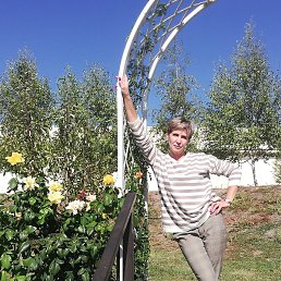 ����, ������, 52 ����