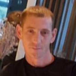 �����, ������, 41 ���