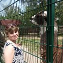 ���� ����, ������ ��������, 42 ���� - ��������� 12 ��� 2023 � ������ ���� ����������