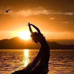 Alina, ���������