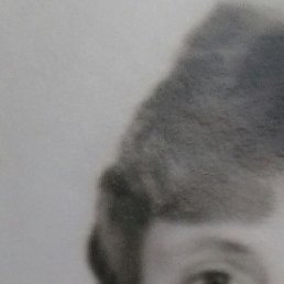 ����, �������, 55 ���