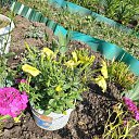 ���� �����, �����������, 58 ��� - ��������� 24 ���� 2023