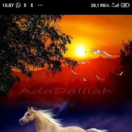 �����, ������, 61 ���