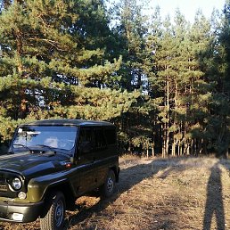 ����, �������, 45 ���