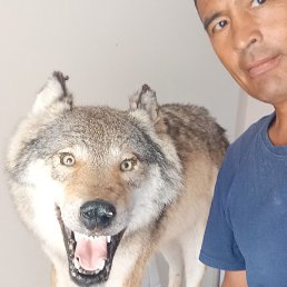 �����, ������, 45 ���