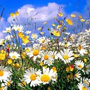 ���� ������, ������, 46 ��� - ��������� 14 ���� 2023