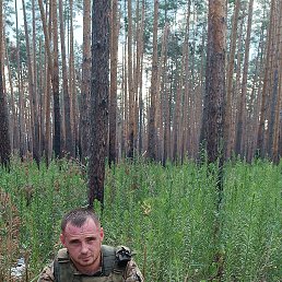 ���� �����, ���������, 33 ���� - ��������� 17 ���� 2023