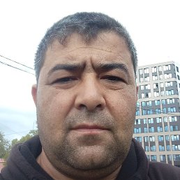 �����, �����-���������, 40 ���