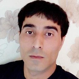 ��������, ������, 40 ���