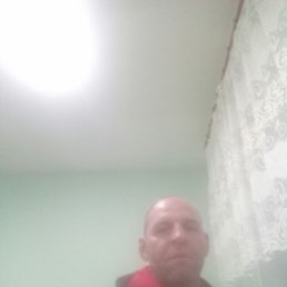 �������, ������, 49 ���