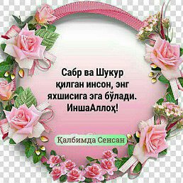 ���, �����, 37 ���