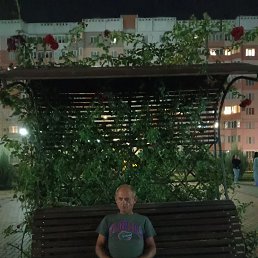 ���� ����, ���������, 52 ���� - ��������� 3 ������� 2023