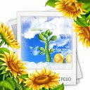 ���� �����, ������, 57 ��� - ��������� 15 ���� 2023