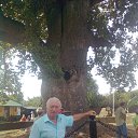 ���� �����, �����������, 84 ���� - ��������� 13 ����� 2023 � ������ ���� ����������