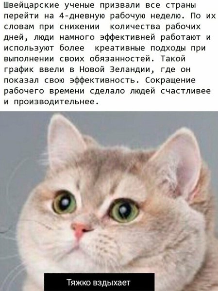 Discovery - 28  2023  12:03