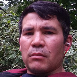 ��������, �����-���������, 40 ���