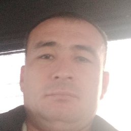 ������., �����, 38 ���