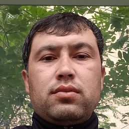 �����, ������, 36 ���