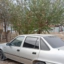 ���� ������, ������, 32 ���� - ��������� 12 ������� 2023 � ������ ���� ����������