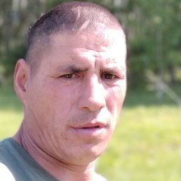 �����, ������, 37 ���