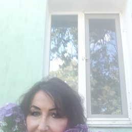 , 59,  
