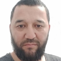 ���, ������, 41 ���