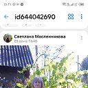 ���� ��������, �������, 61 ��� - ��������� 12 ������� 2023 � ������ ���� ����������