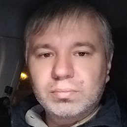 �������, ������, 41 ���