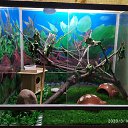 ���� �������, �������, 46 ��� - ��������� 17 ������� 2023 � ������ ���� ����������