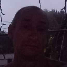 ����, ��������, 44 ����