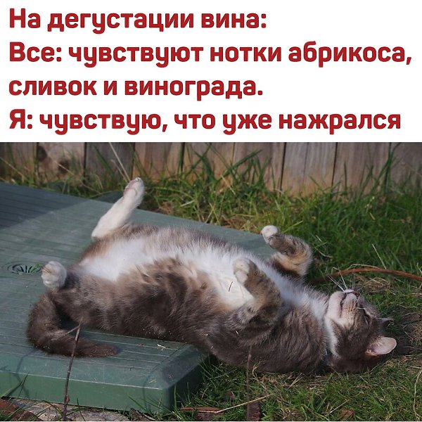 , !