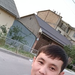 ����, �������, 41 ���