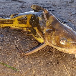 ���� ���������, ������������, 40 ��� - ��������� 27 �������� 2023