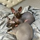 ���� �����, ������, 32 ���� - ��������� 6 �������� 2023 � ������ ���� ����������