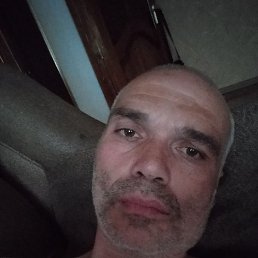 �������, ����������, 46 ���