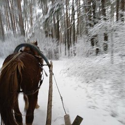 �������, �����, 50 ���