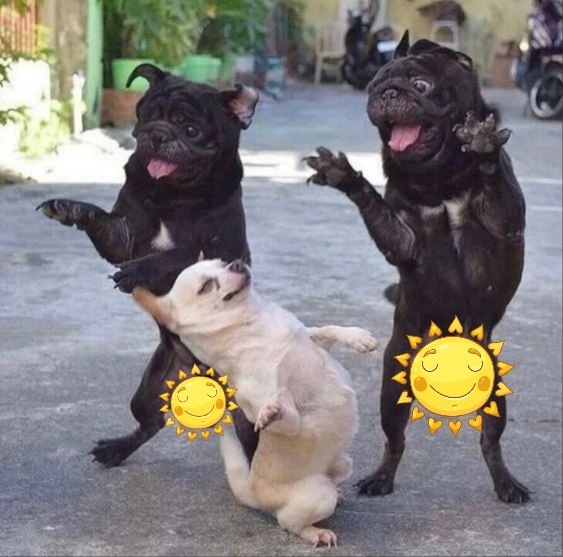 ������� ���