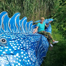 ����, �����-���������, 61 ���