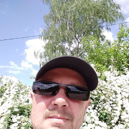 �������, ��������, 46 ���