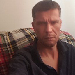 ���� �����, ������, 42 ���� - ��������� 17 ������� 2023