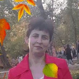 �������, ���������, 49 ���