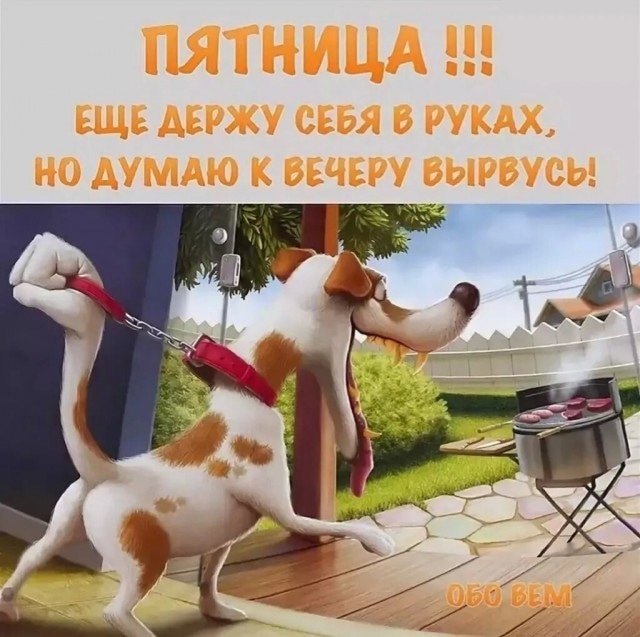  - 29  2023  14:09